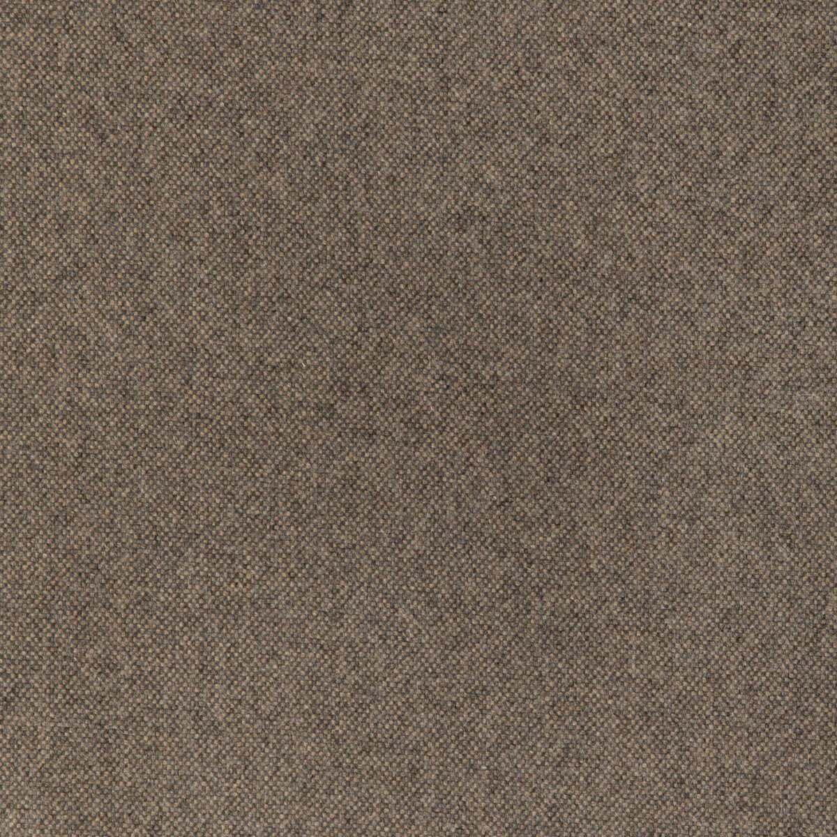 Manchester Wool - Biscotti - KRAVET CONTRACT Fabric