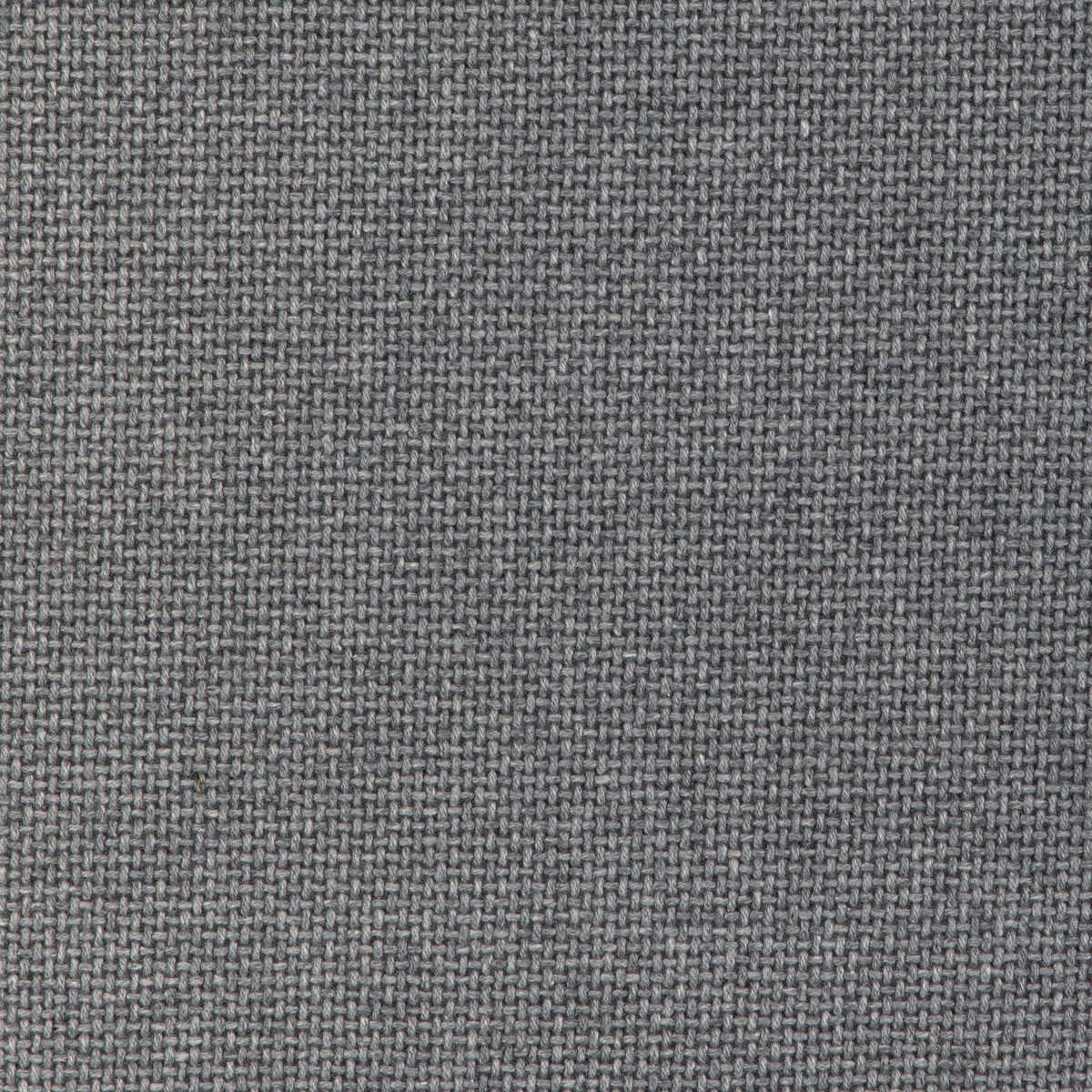 Easton Wool - Koala