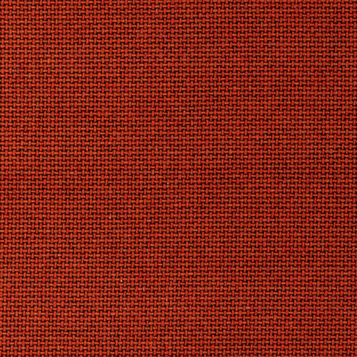 Easton Wool - Persimmon