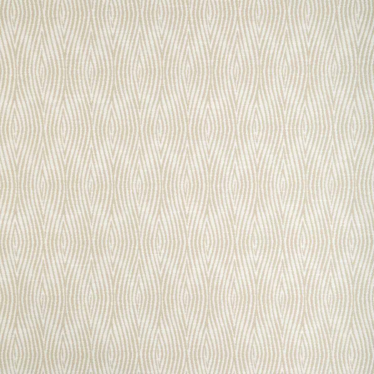 Vertical Motion - Chablis