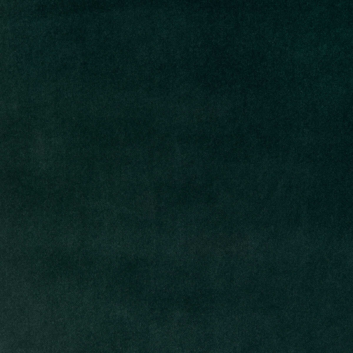 Kravet Design - 37306-313