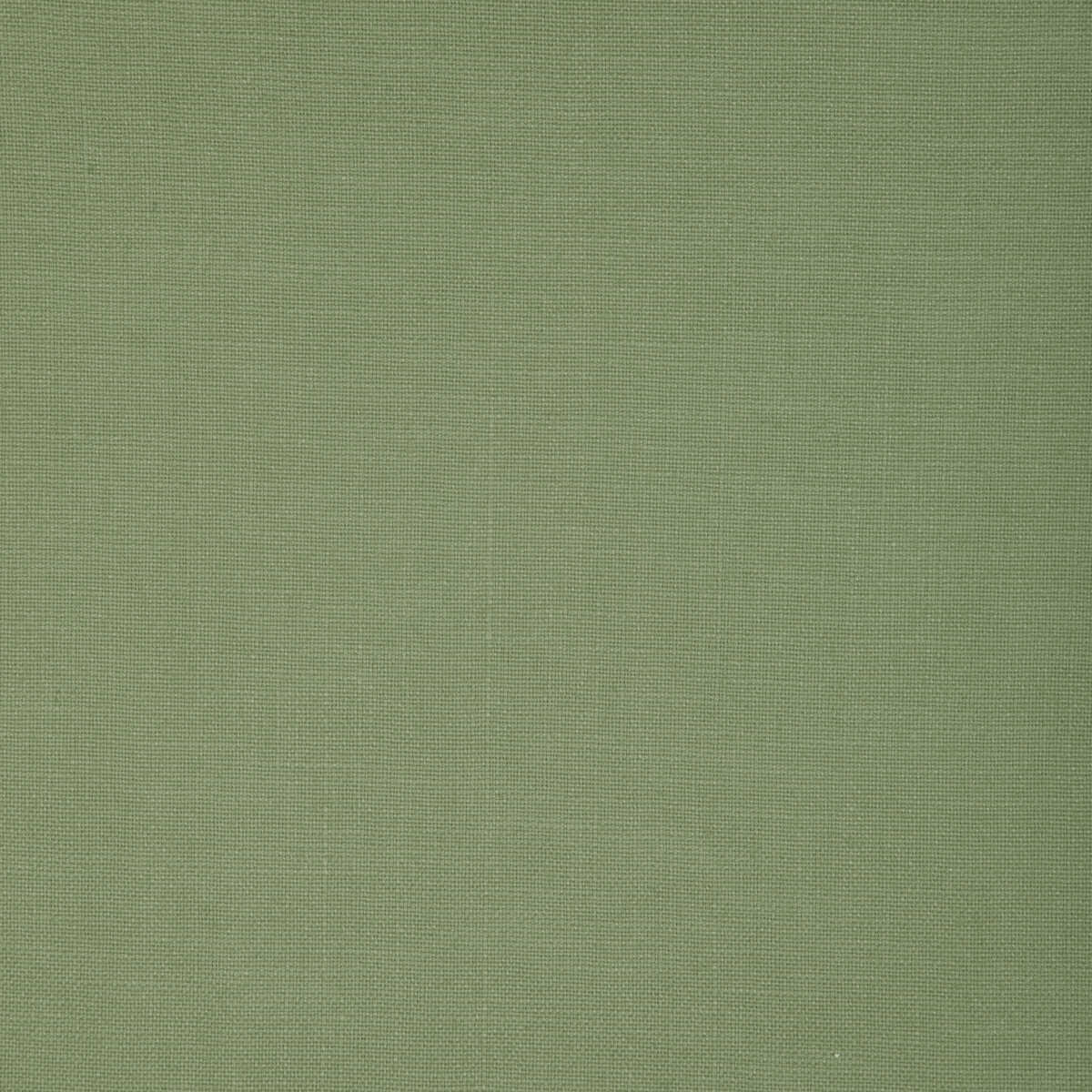 Kravet Design - 37320-3