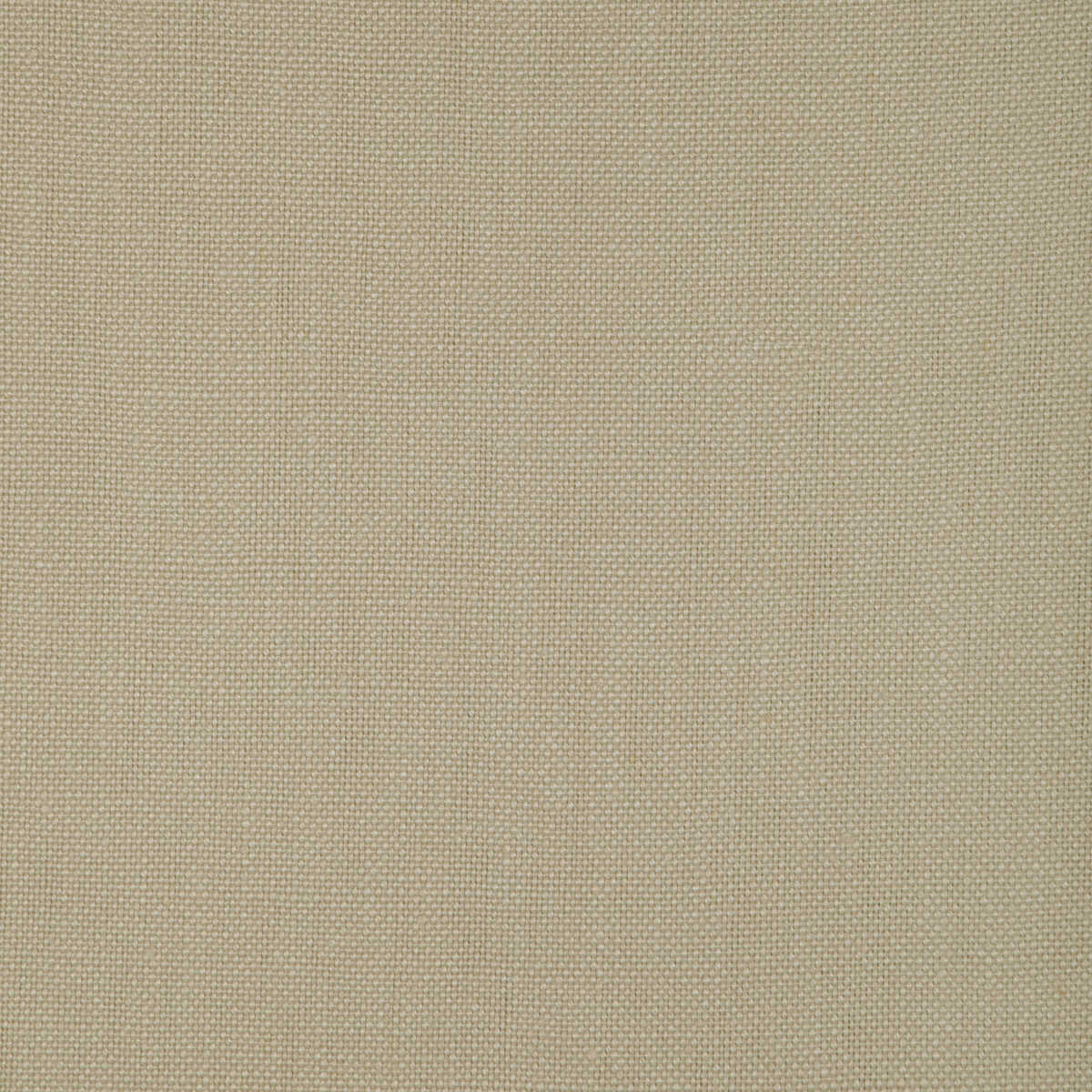 Kravet Design - 37320-1101