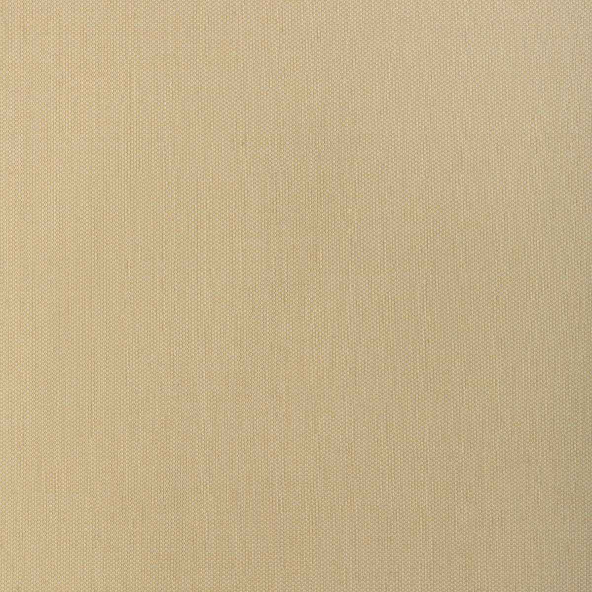Kravet Smart 37337 116 Fabric