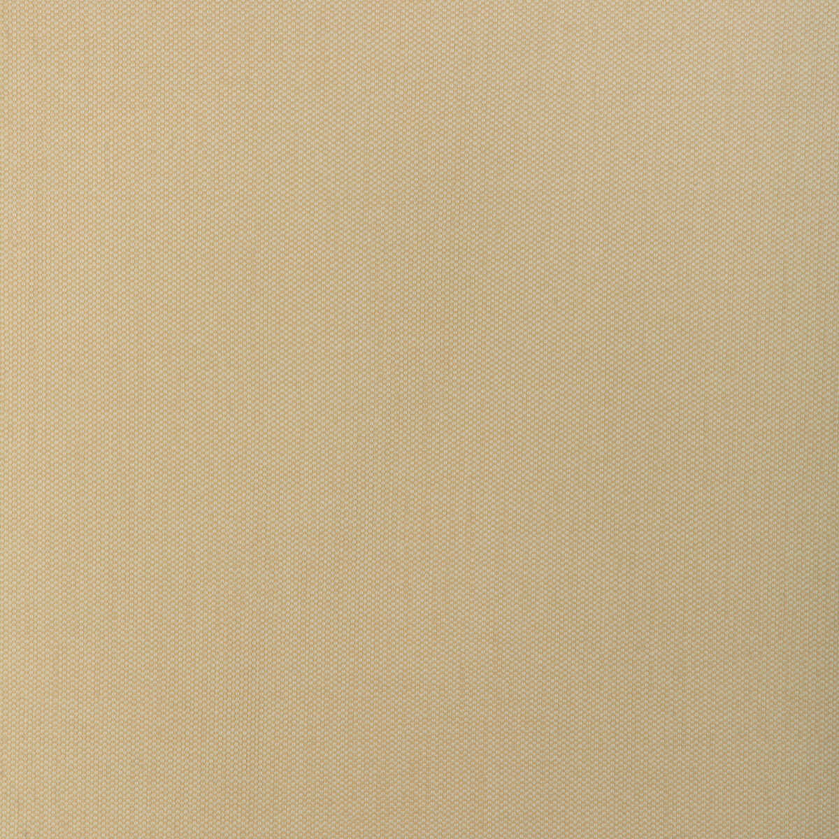 Kravet Smart - 37337-116 - KRAVET SMART Fabric