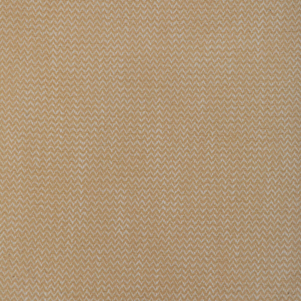 Kravet Smart - 37341-1161 - KRAVET SMART Fabric