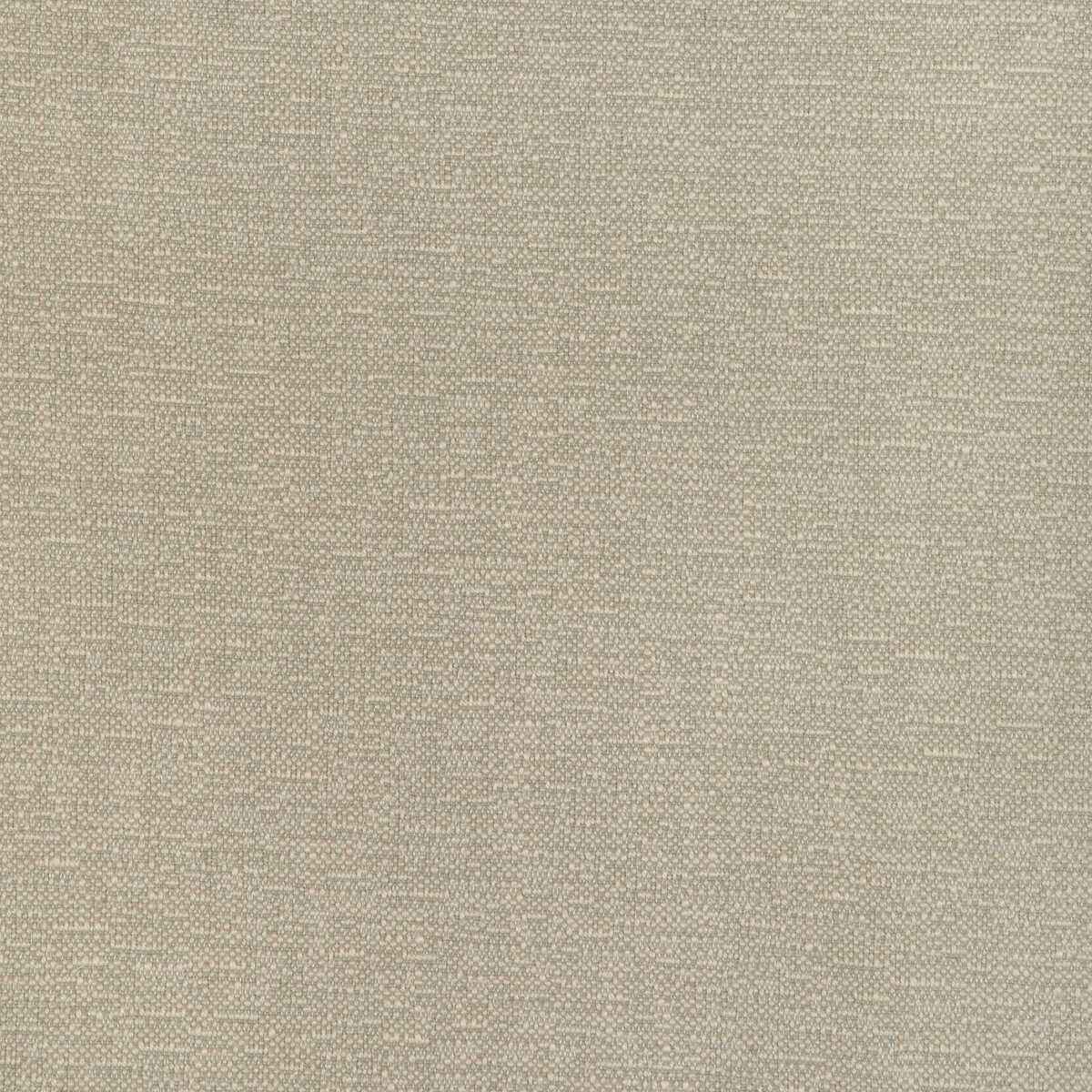 Kravet Smart 37352 1611 Fabric