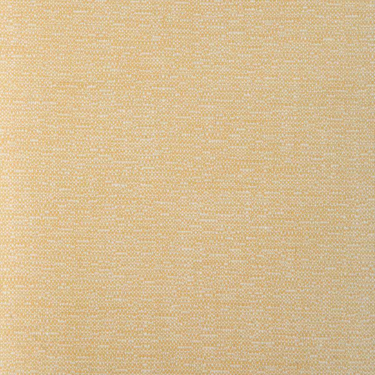 Kravet Smart 37352 40 Fabric