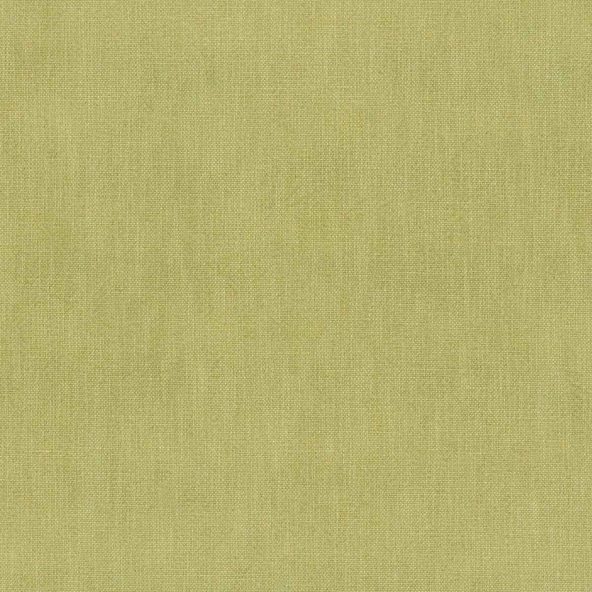 373601230 Vero Lime Fabric