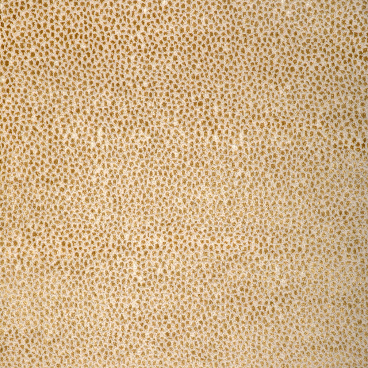 Kravet Design - 37480-4 - KRAVET DESIGN Tela
