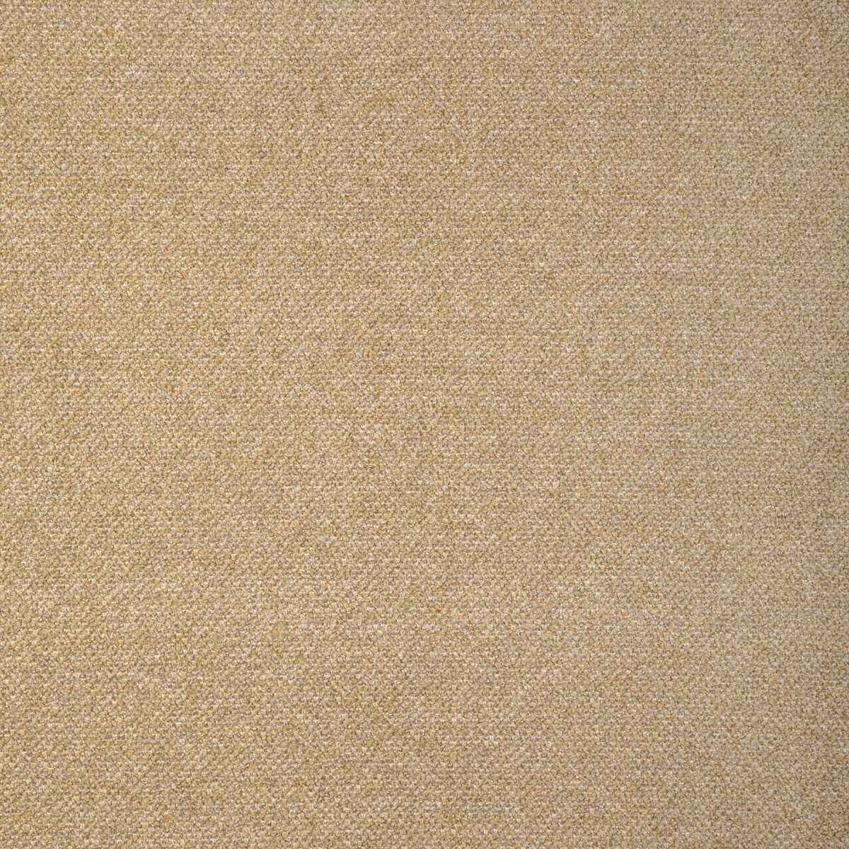 Kravet Smart 37499 416 Fabric