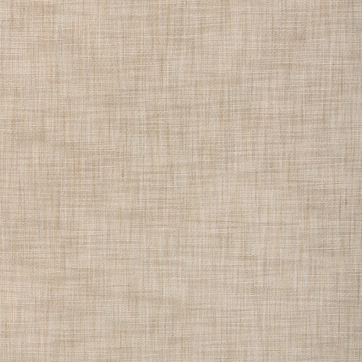 Tikka Texture - Dust