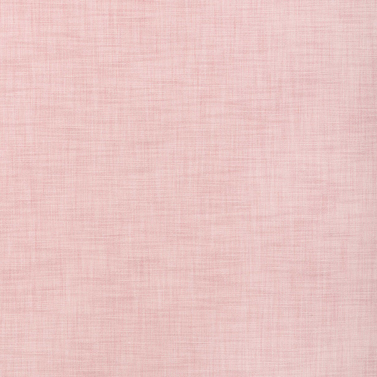 Tikka Texture - Blush