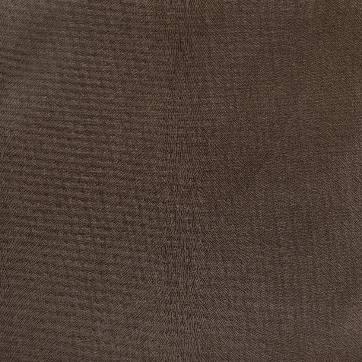 3767-overton-latte-pindler
