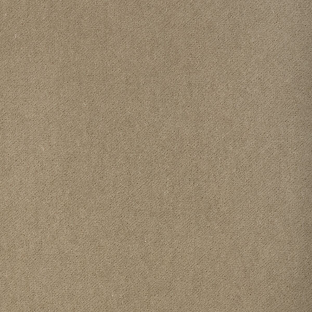 Tempo - Canvas - Kravet Contract Fabric