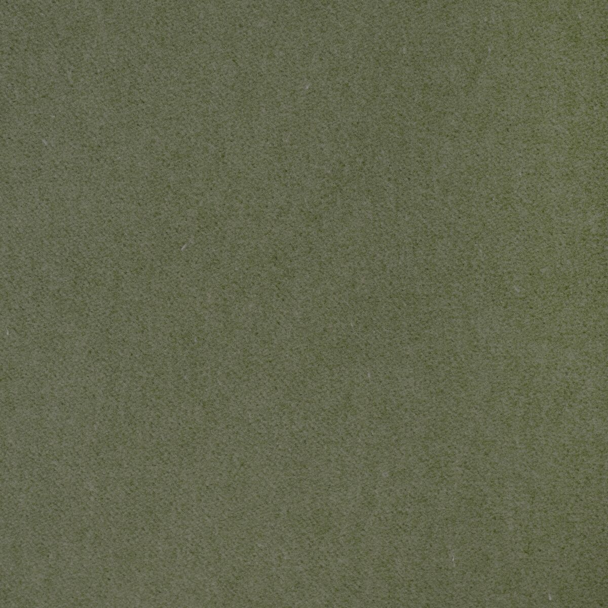 Tempo - Pistachio - Kravet Contract Fabric