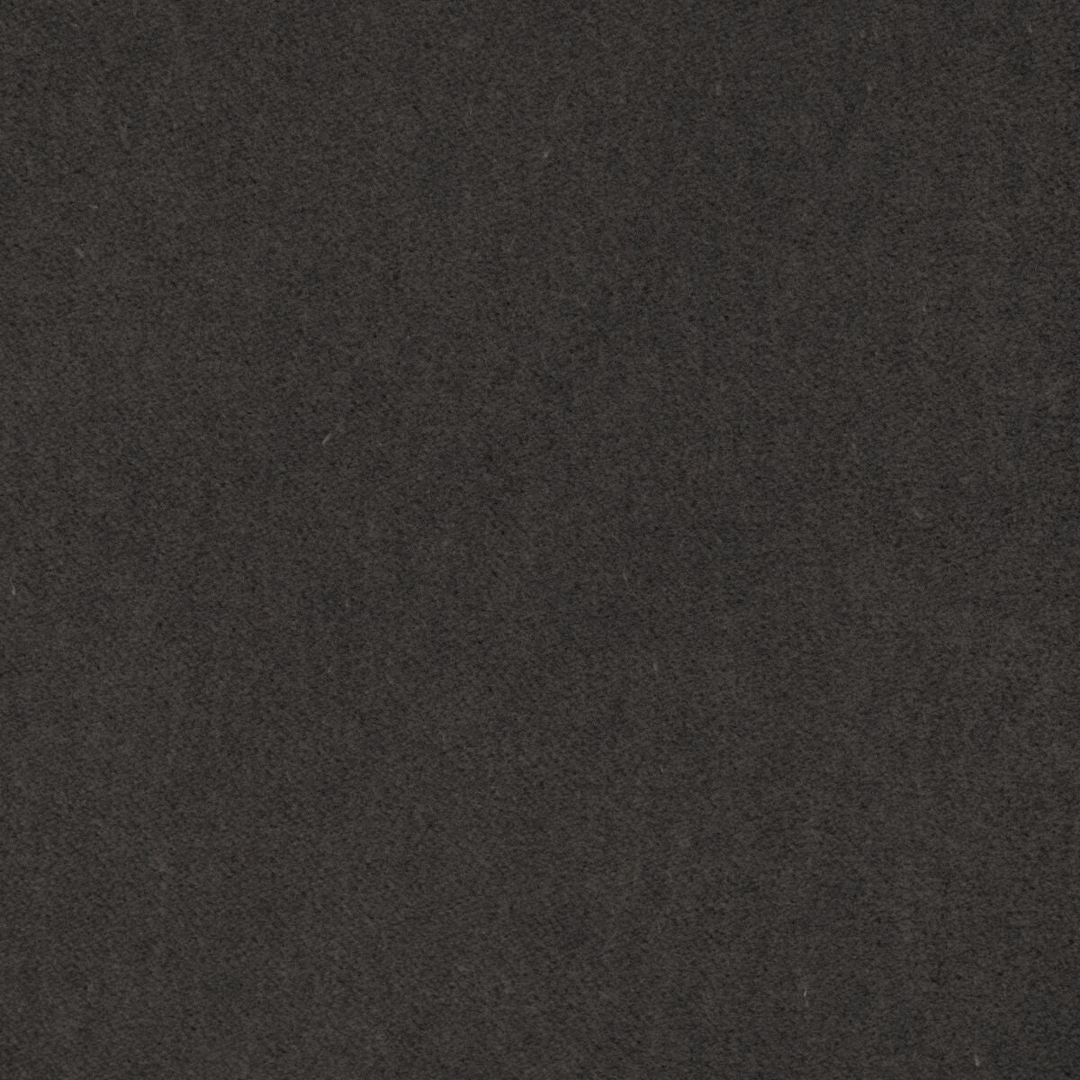 Tempo - Graphite - Kravet Contract Fabric