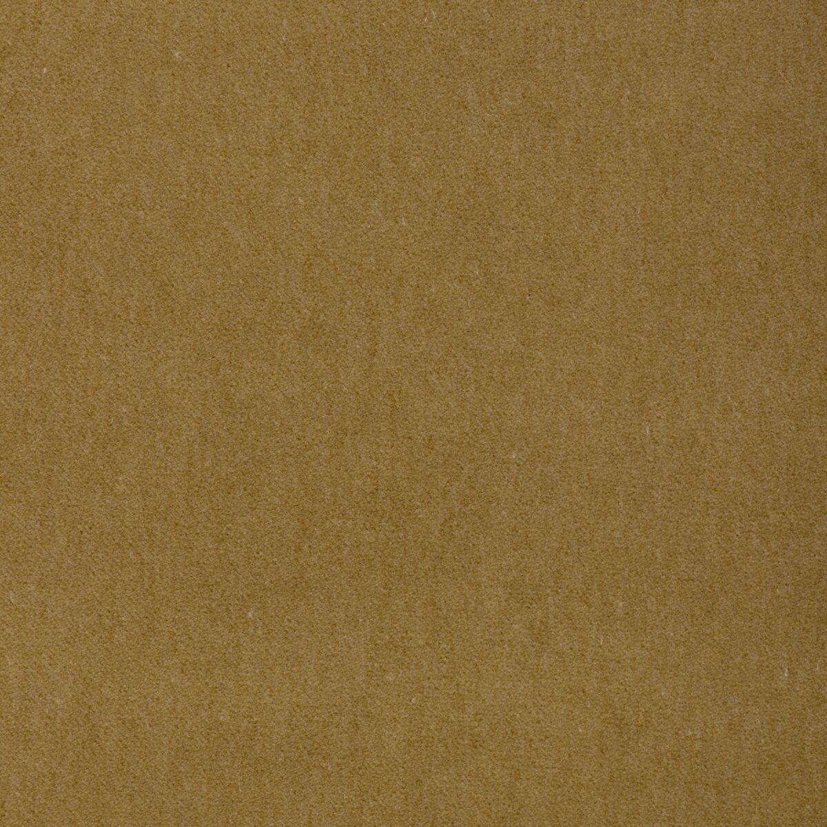 Tempo - Green Tea - Kravet Contract Fabric
