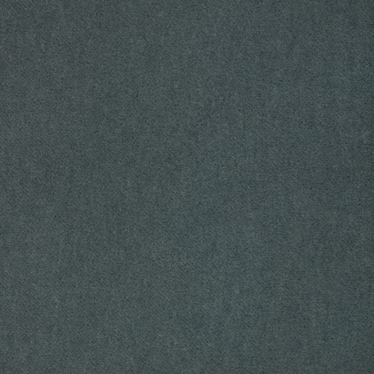 Tempo - Bluegrass - Kravet Contract Fabric