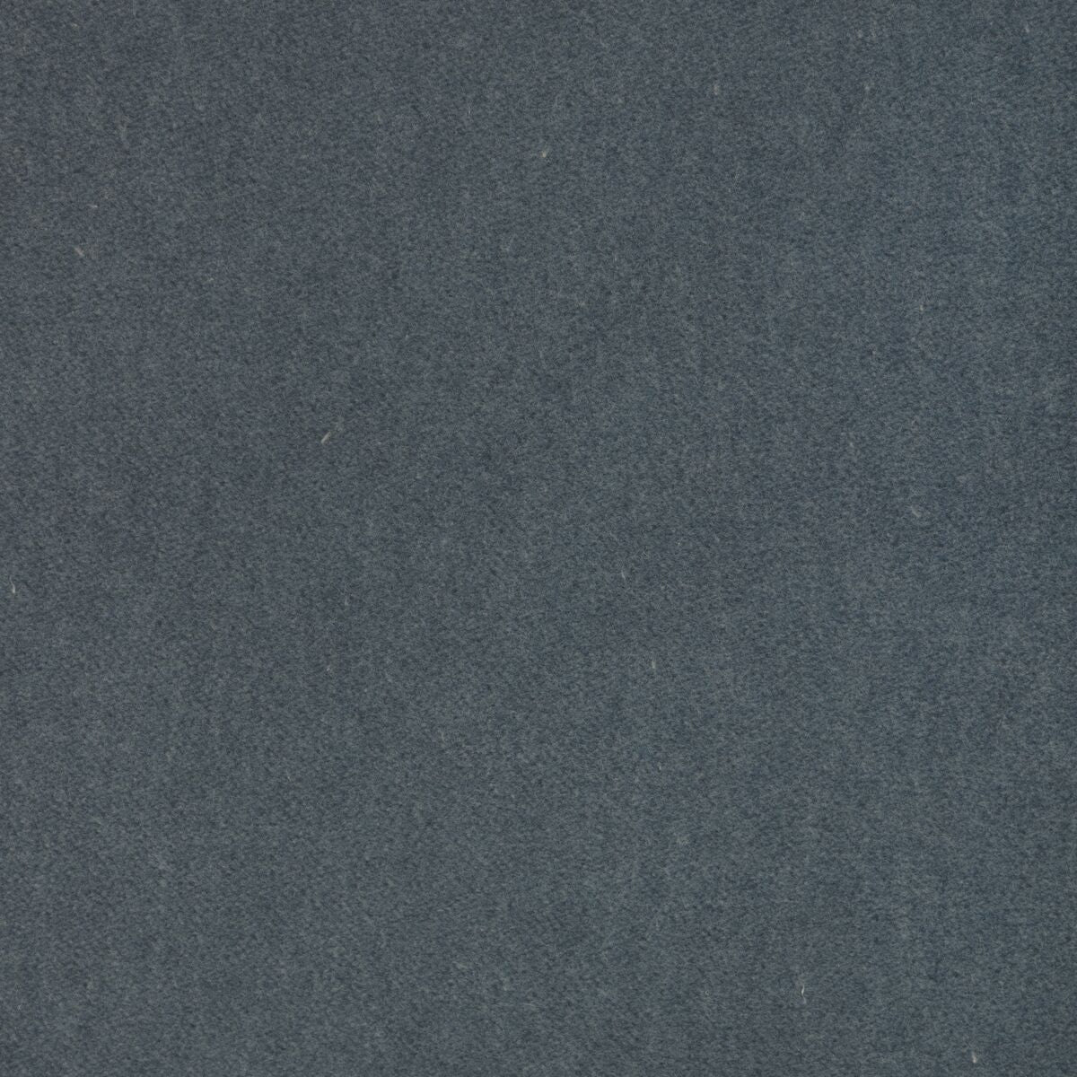 Tempo - Emperor - Kravet Contract Fabric