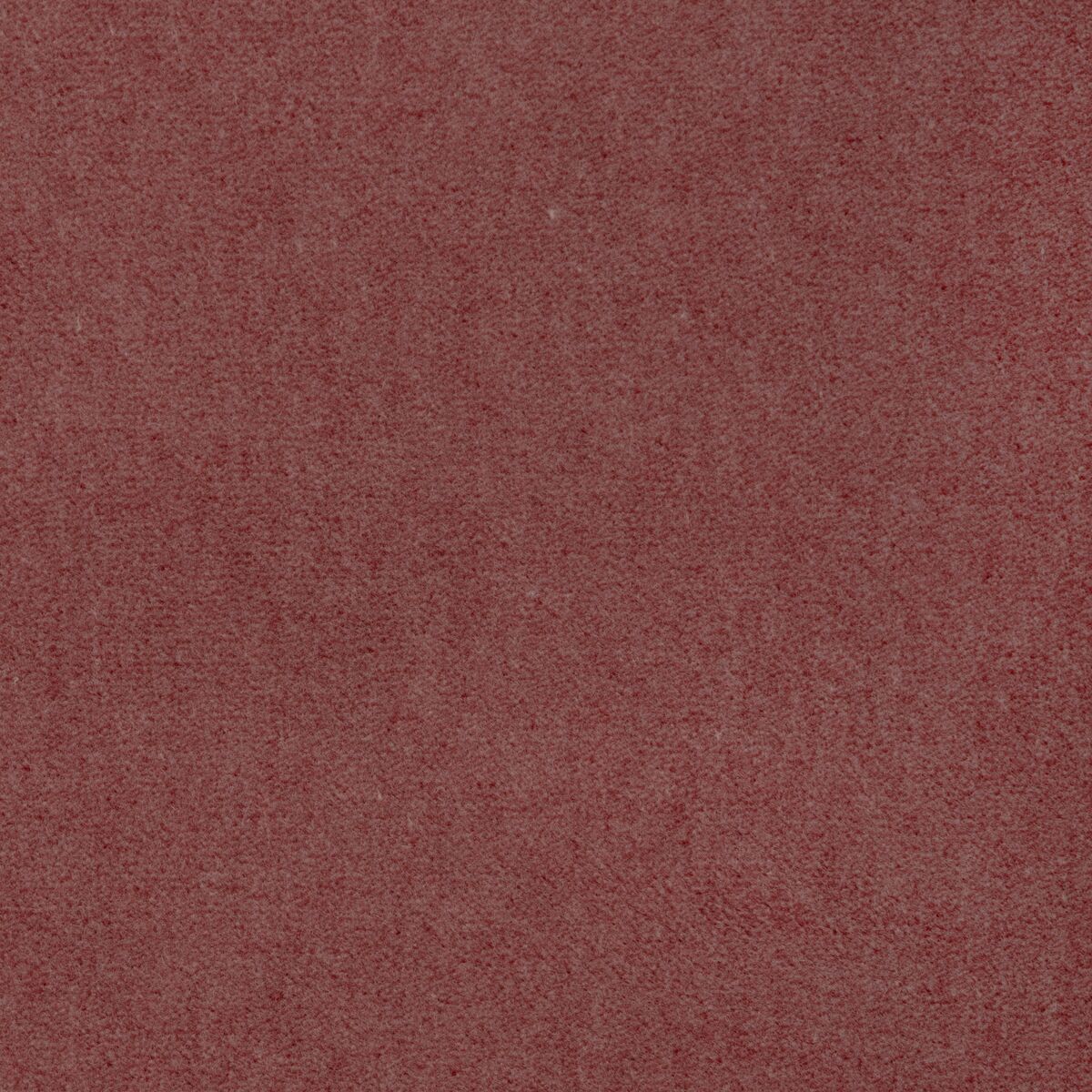 Tempo - Petal - Kravet Contract Fabric