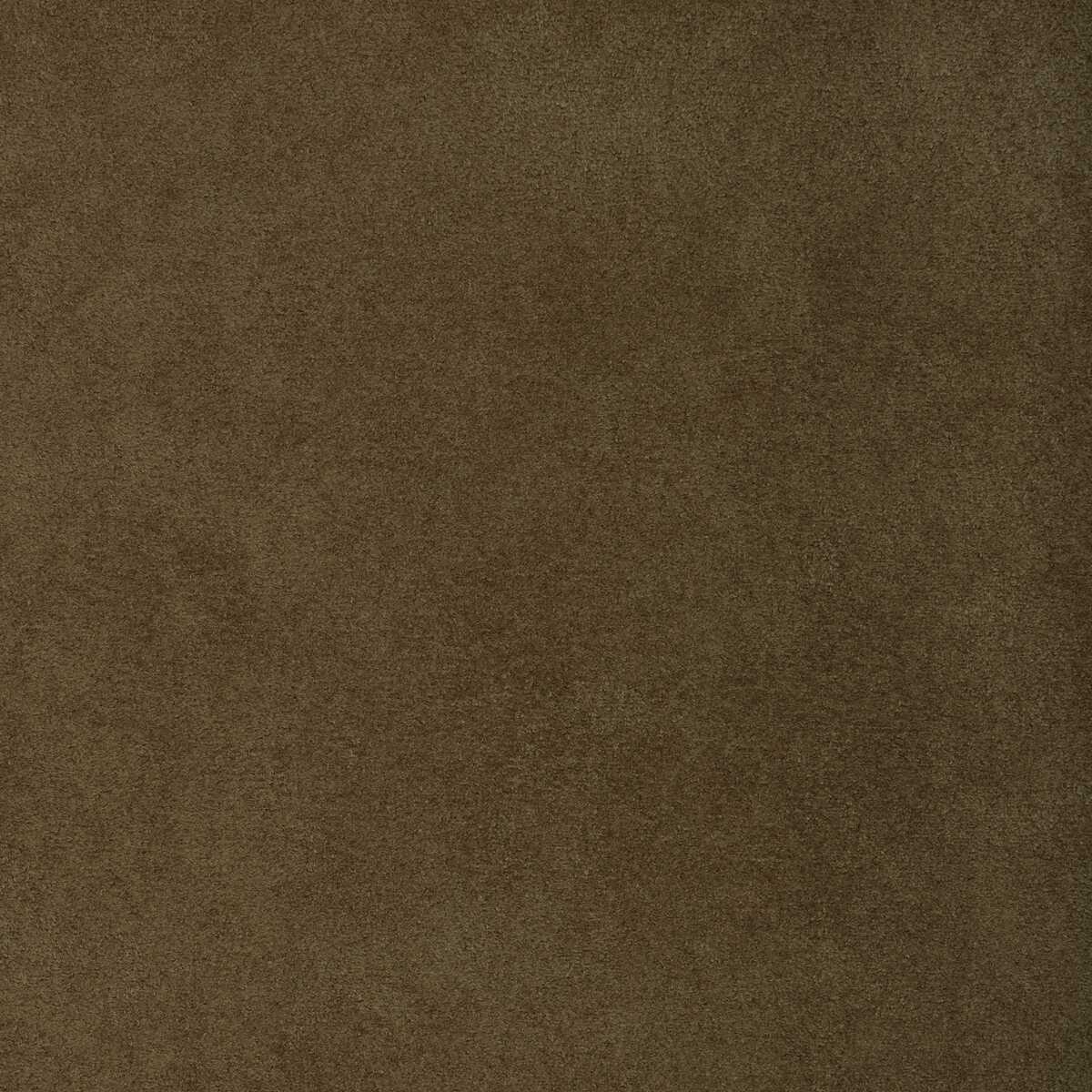Kravet Design - 37721-123 - KRAVET DESIGN Fabric
