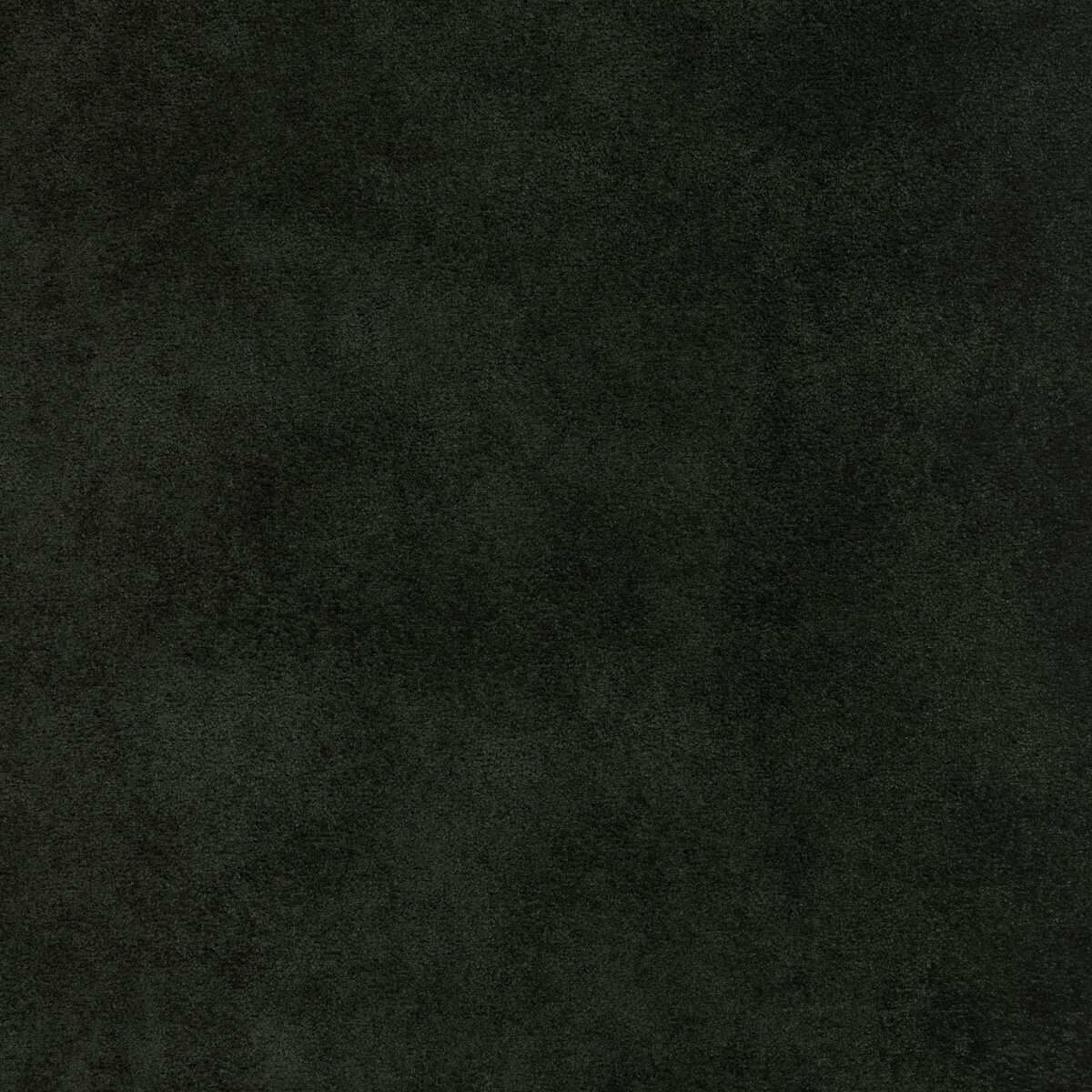 Kravet Design - 37721-3 - KRAVET DESIGN Fabric