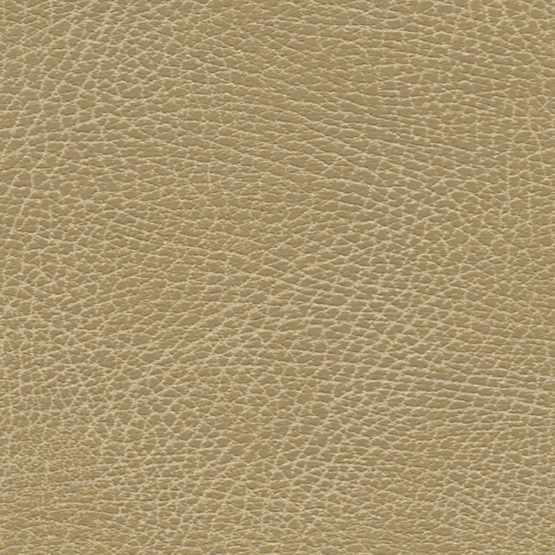 BRISA-SOLEIL-DISTRESSED-BUCKS-SCHUMACHER-396-3134