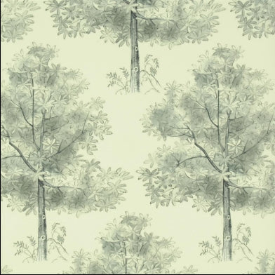 arboretum-royal-collection-pq008-01
