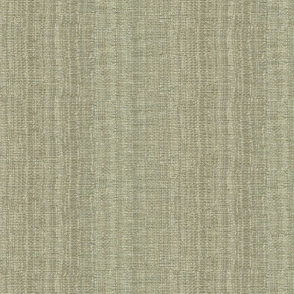 Kravet Contract - 4161-11