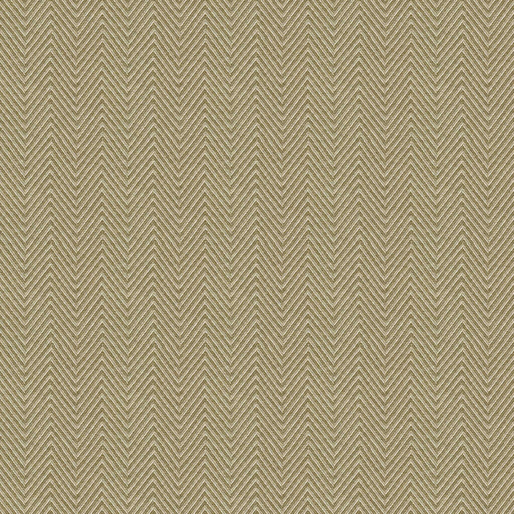 Kravet Contract - 4162-4