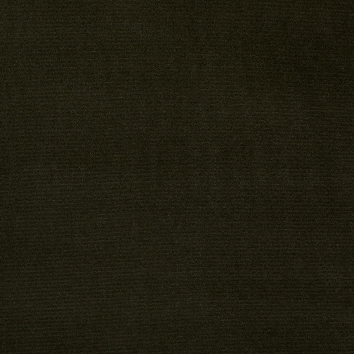 GAINSBOROUGH-VELVET-EUCALYPTUS-SCHUMACHER-42861