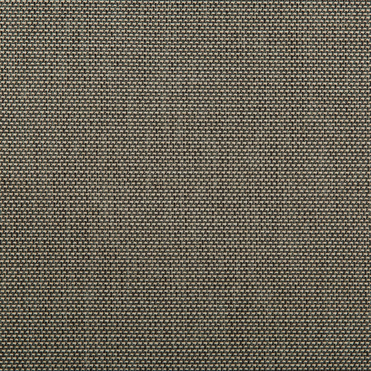 Kravet Contract - 4645-1621