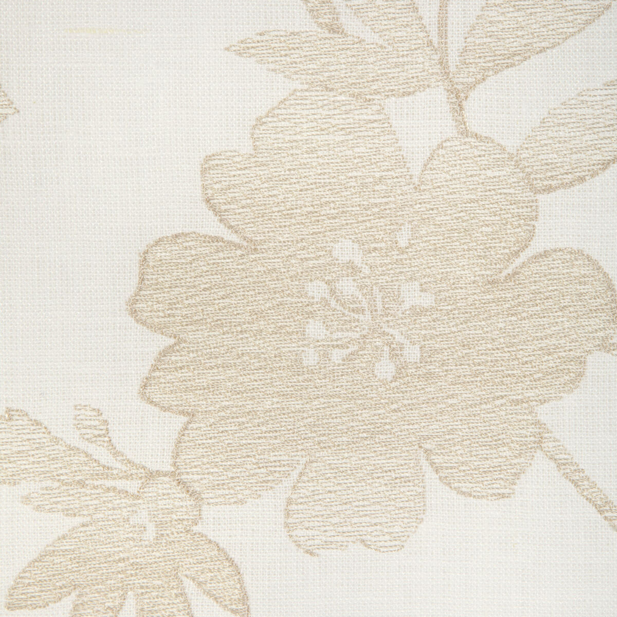 Flutter Vine - Buff - Kravet Design Tela