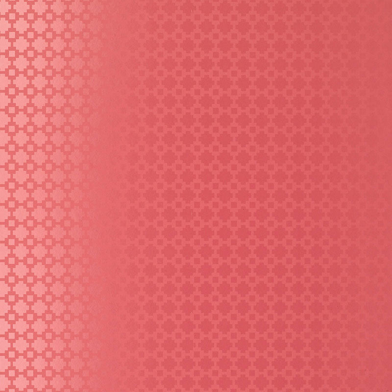 SHAKE-IT-UP-RASPBERRY-GLOSS-SCHUMACHER-5003232