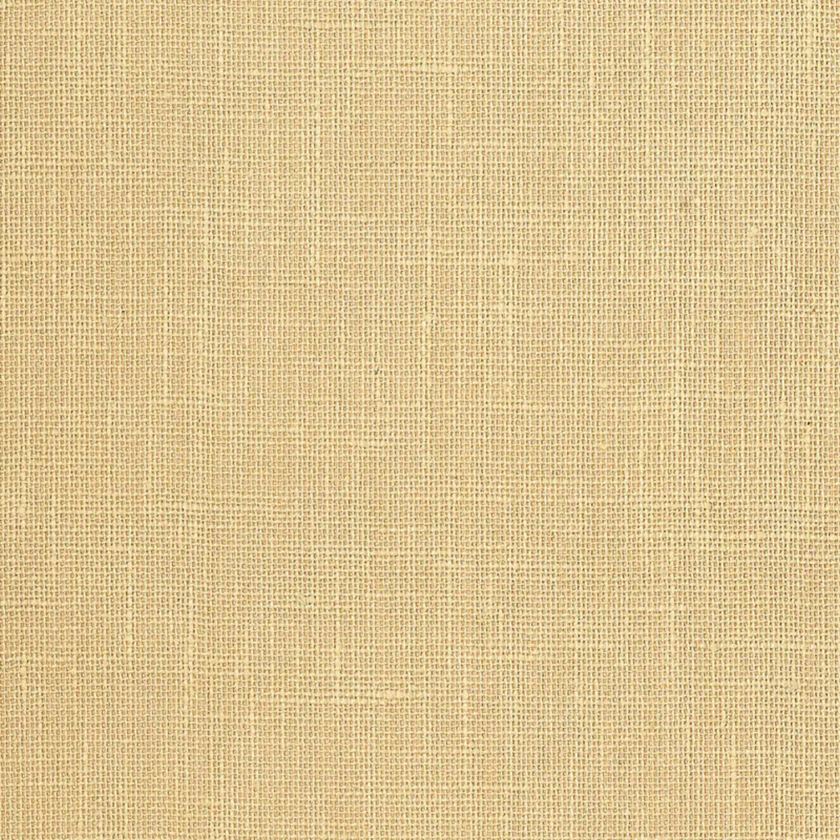 Adhafera Ground - Straw - Schumacher 5003581 Wallcovering - Schumacher Wallpaper