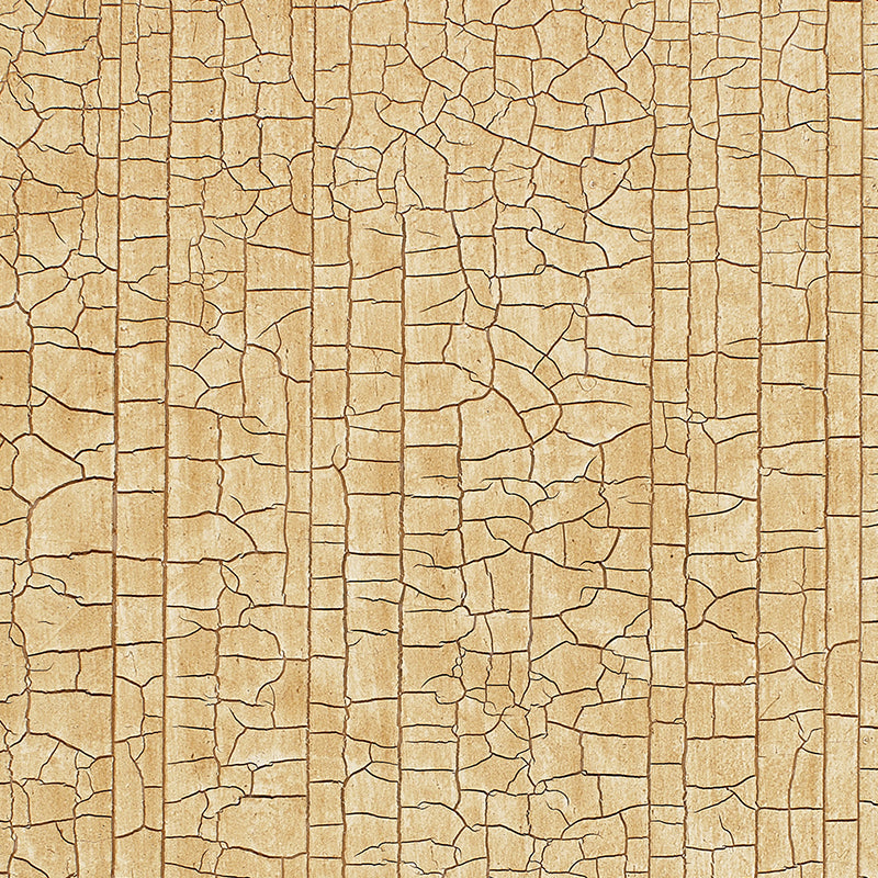 MASACCIO-GROUND-CAMEL-SCHUMACHER-5003764