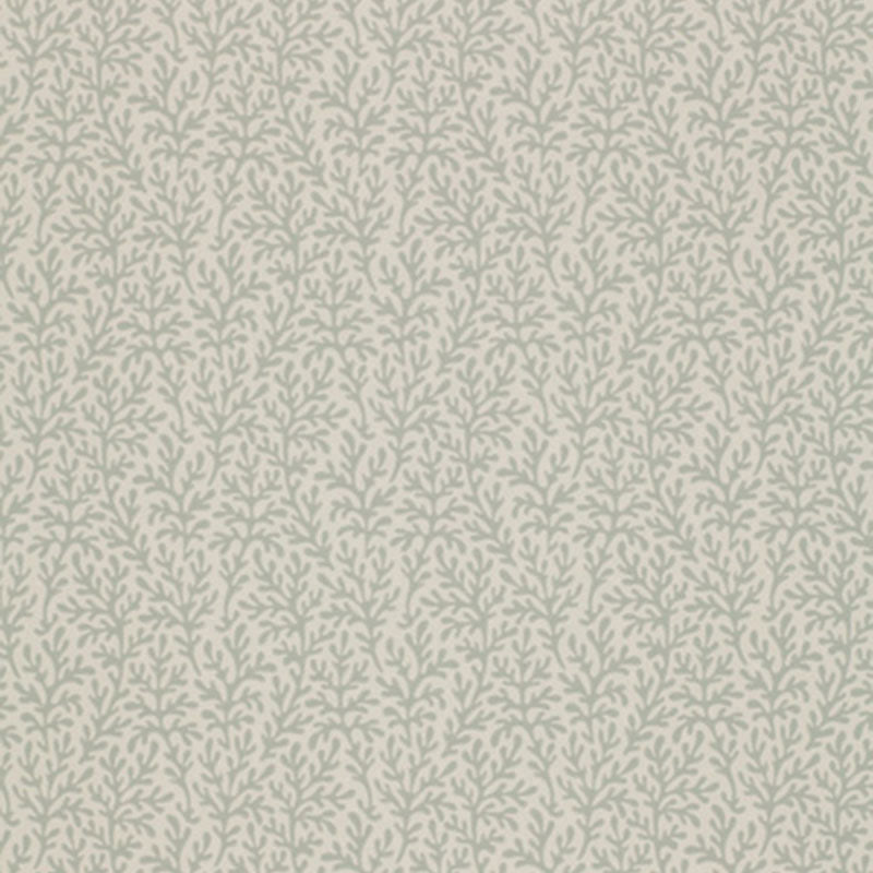SEA-CORAL-MINERAL-SCHUMACHER-5004733