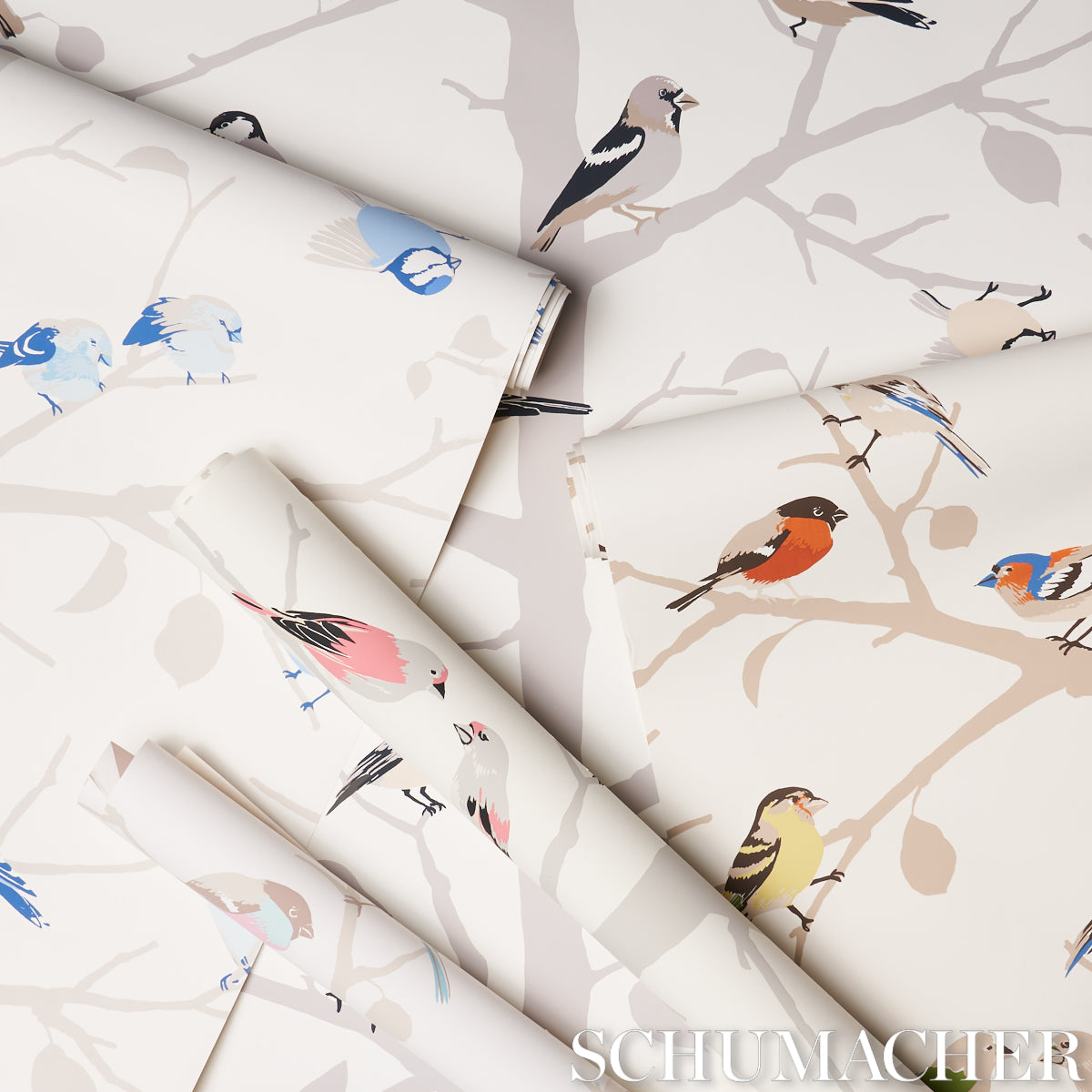 A-TWITTER-SOFT-MULTI-SCHUMACHER-5005033