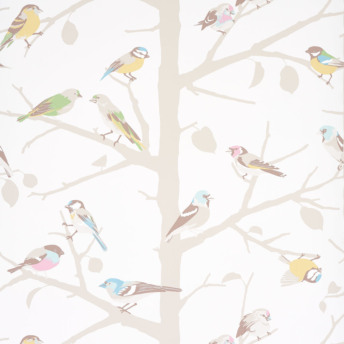 A-TWITTER-SOFT-MULTI-SCHUMACHER-5005033