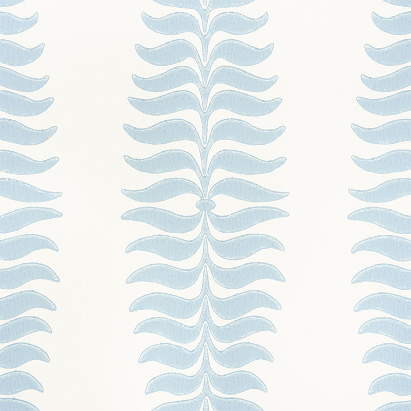 FERN-TREE-SKY-SCHUMACHER-5005074