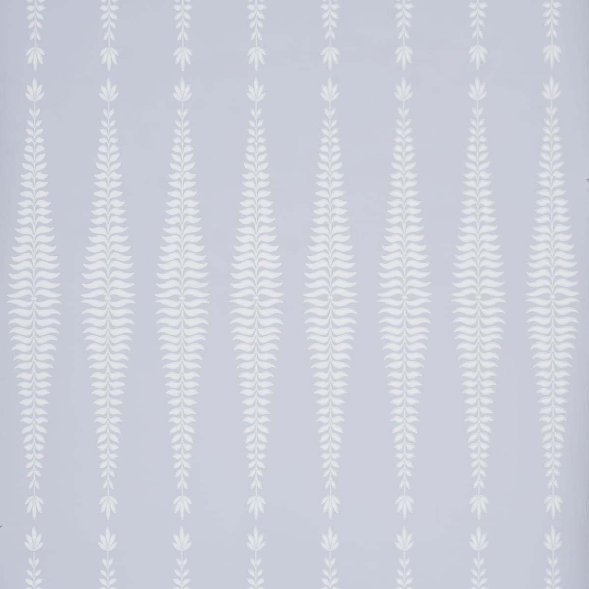 FERN-TREE-CLOUD-SCHUMACHER-5005075
