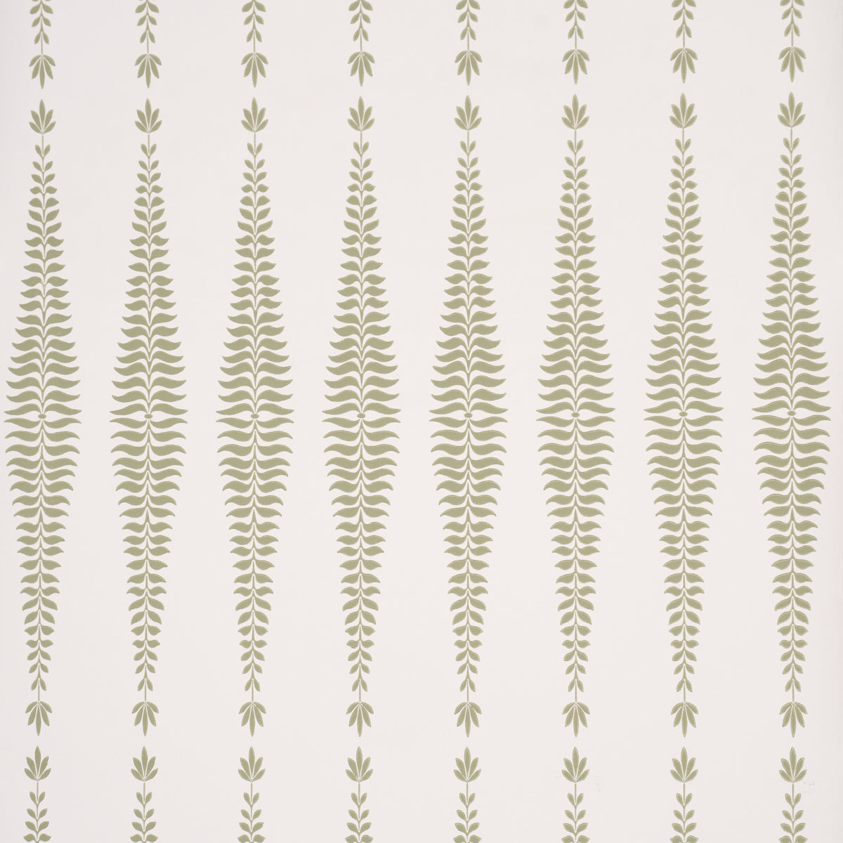 FERN-TREE-SAGE-SCHUMACHER-5005076