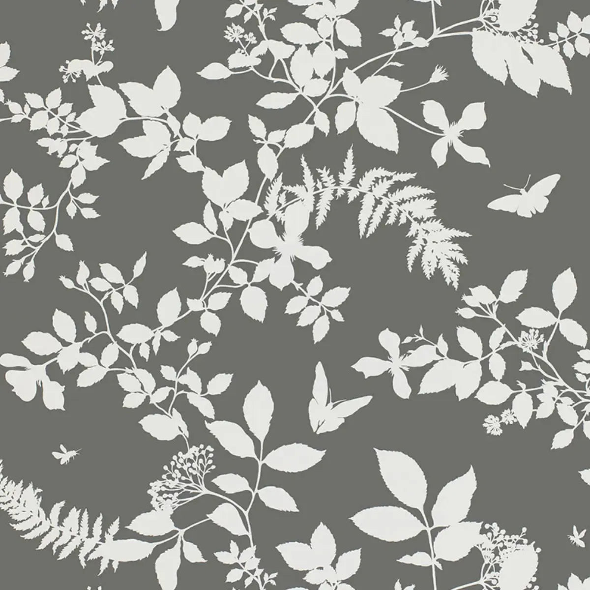 Shadow Vine - Charcoal - Schumacher 5005103 Wallcovering - Schumacher Wallpaper