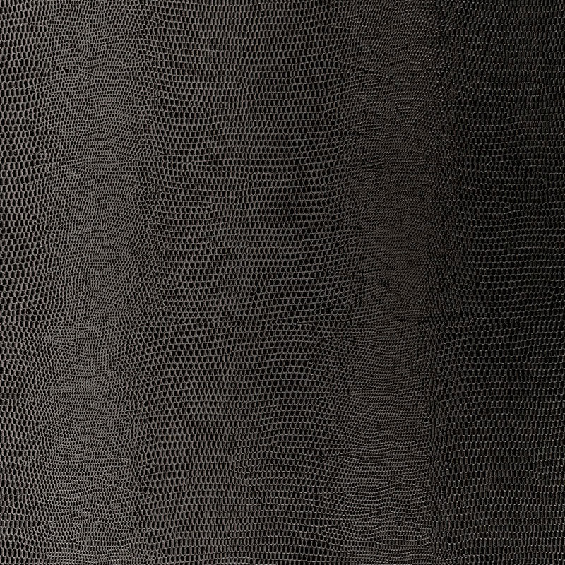 LIZARD-CARBON-SCHUMACHER-5005841