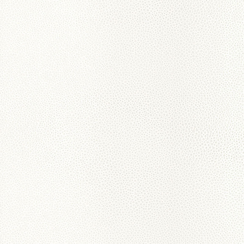SHAGREEN-WHITE-PEARL-SCHUMACHER-5005850