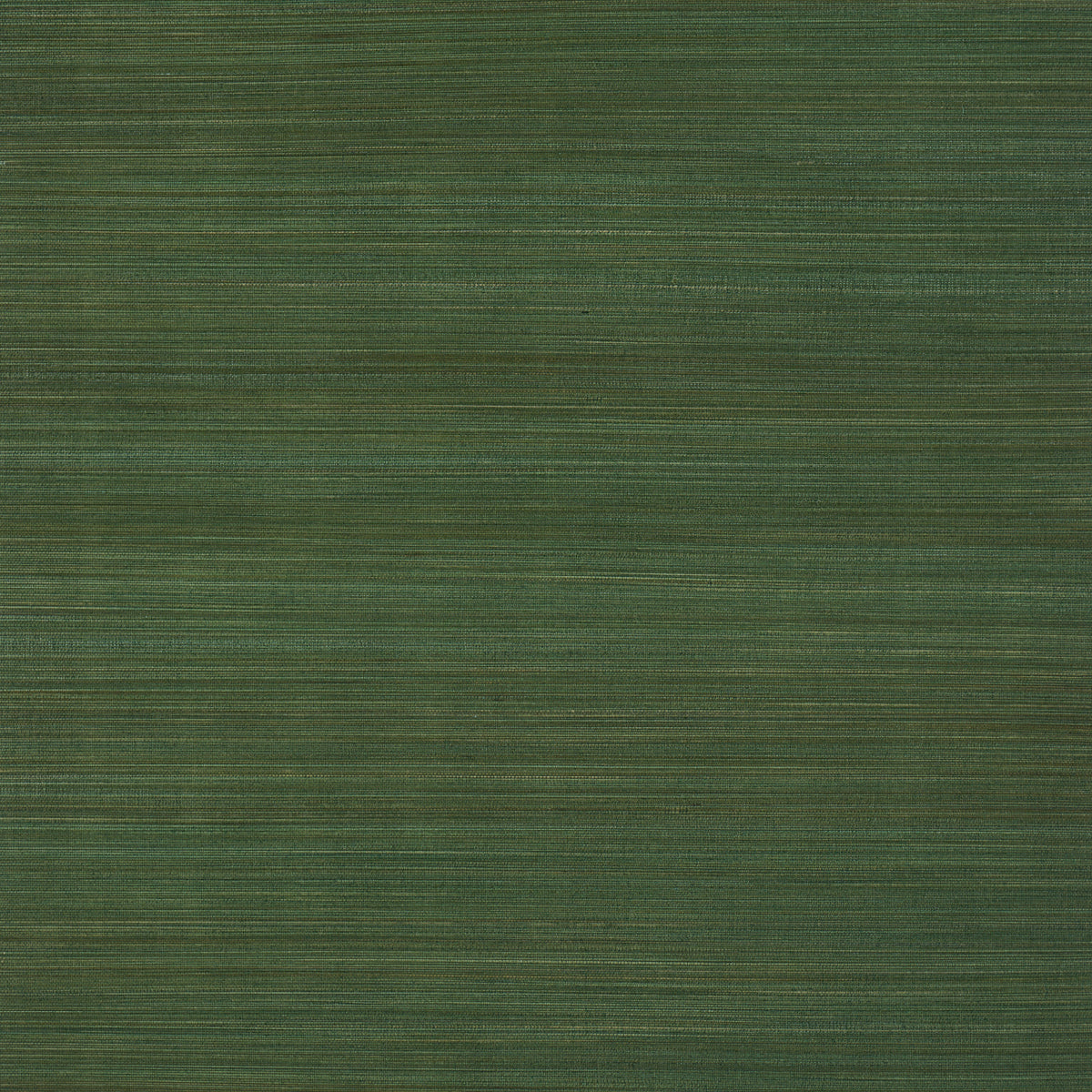 Zen Bamboo - Palm - Schumacher 5006405 Wallpaper