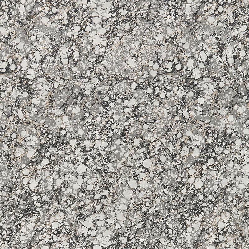 FLORENCE-CARRARA-SCHUMACHER-5006900