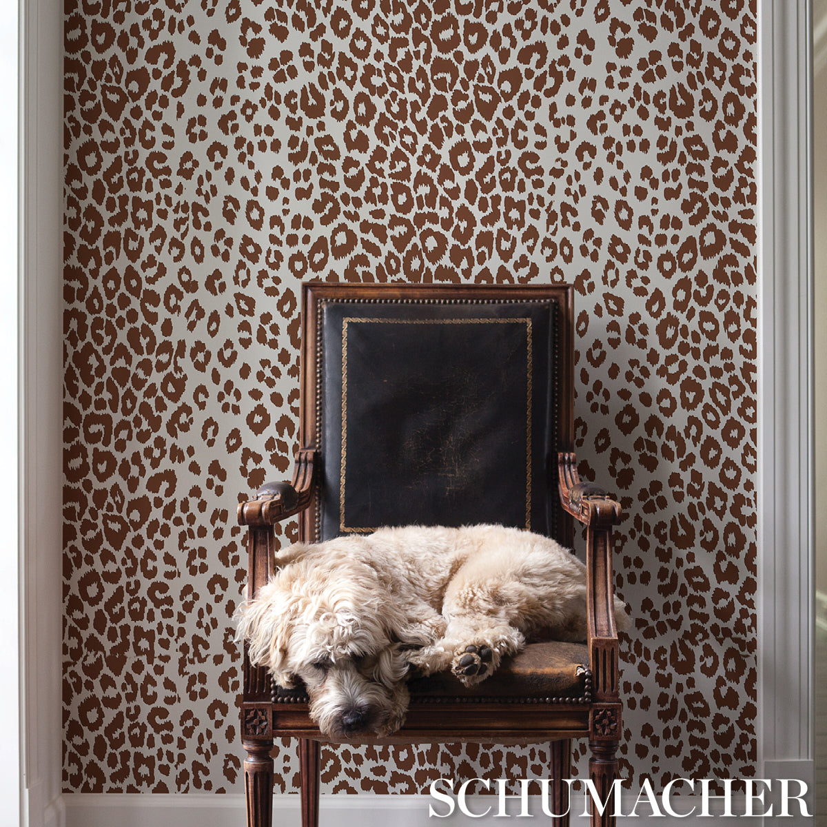 ICONIC-LEOPARD-BROWN-SCHUMACHER-5007018