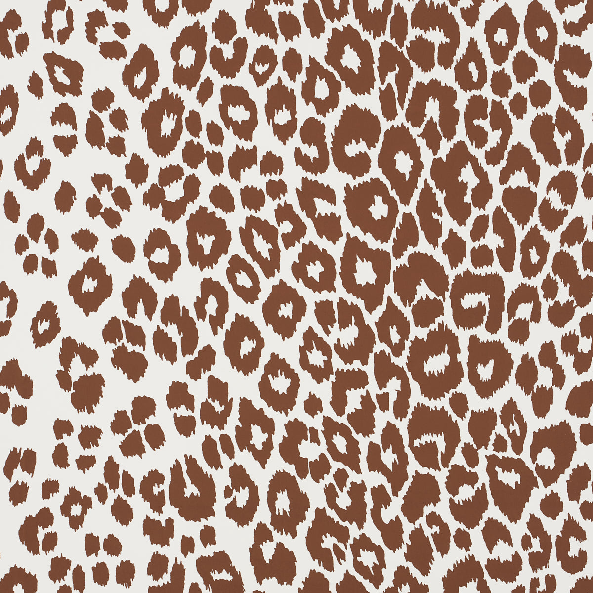 ICONIC-LEOPARD-BROWN-SCHUMACHER-5007018